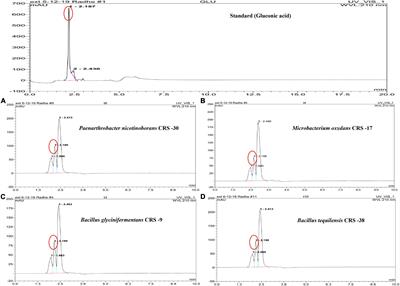 Modulation in Biofertilization and Biofortification of Wheat Crop by Inoculation of Zinc-Solubilizing Rhizobacteria